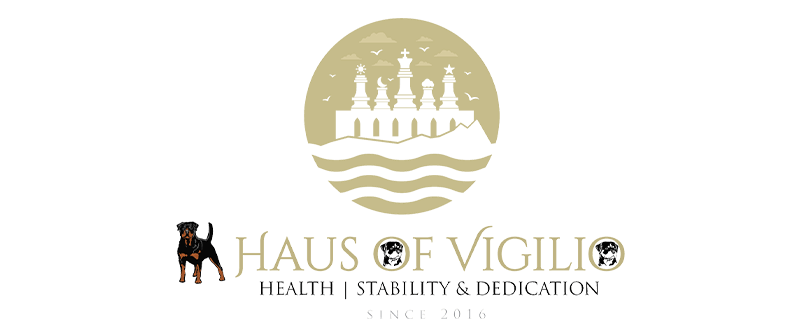 Hov_logo_transparent-b95